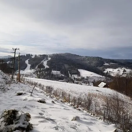 Monte Carlo Kamienna Wisła
